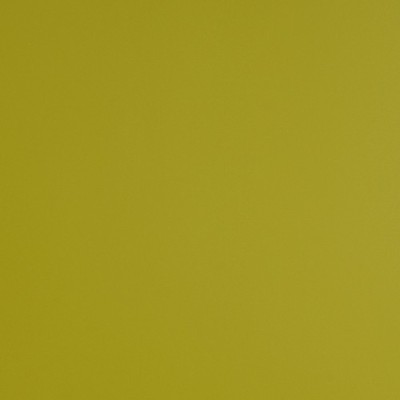 S5392B - Vert Olive Brillant 2